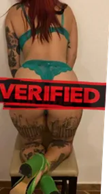 Andrea ass Sex dating Campbelltown