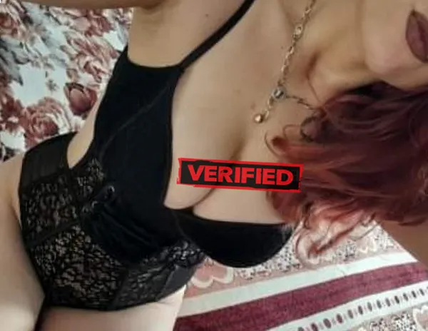 Bridget sexy Prostitute Novo Cruzeiro