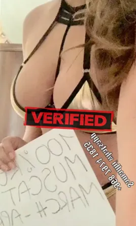 Katie pornostarr Prostitute Druento